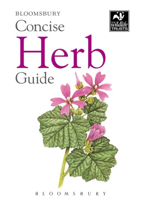 Cover image for book Concise Herb Guide