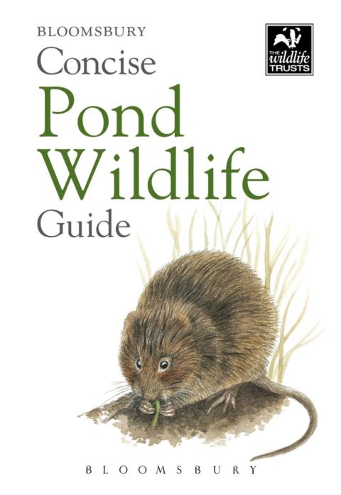 Cover image for book Concise Pond Wildlife Guide