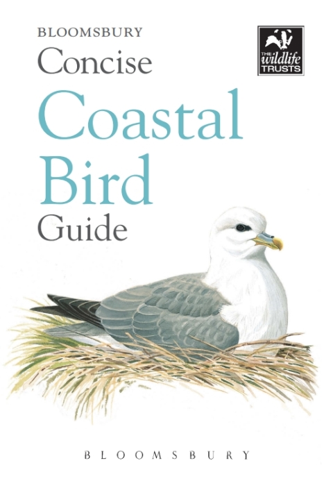 Cover image for book Concise Coastal Bird Guide