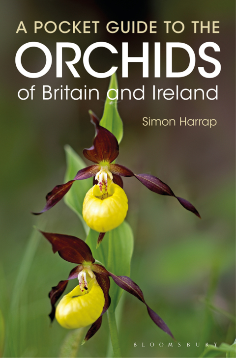 Cover image for book Pocket Guide to the Orchids of Britain and Ireland