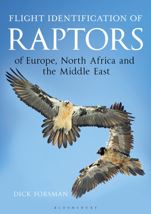 Cover image for book Flight Identification of Raptors of Europe, North Africa and the Middle East