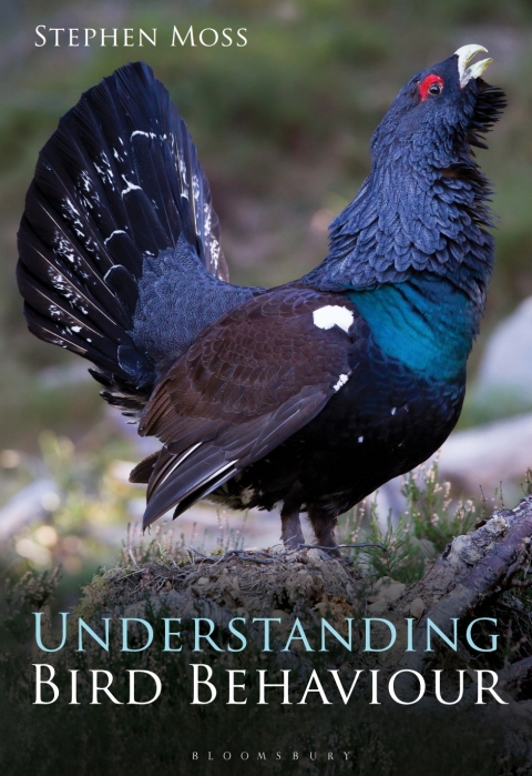 Cover image for book Understanding Bird Behaviour