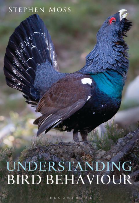 Cover image for book Understanding Bird Behaviour
