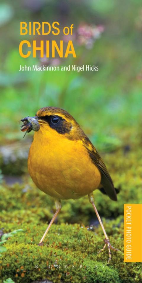 Birds of China 