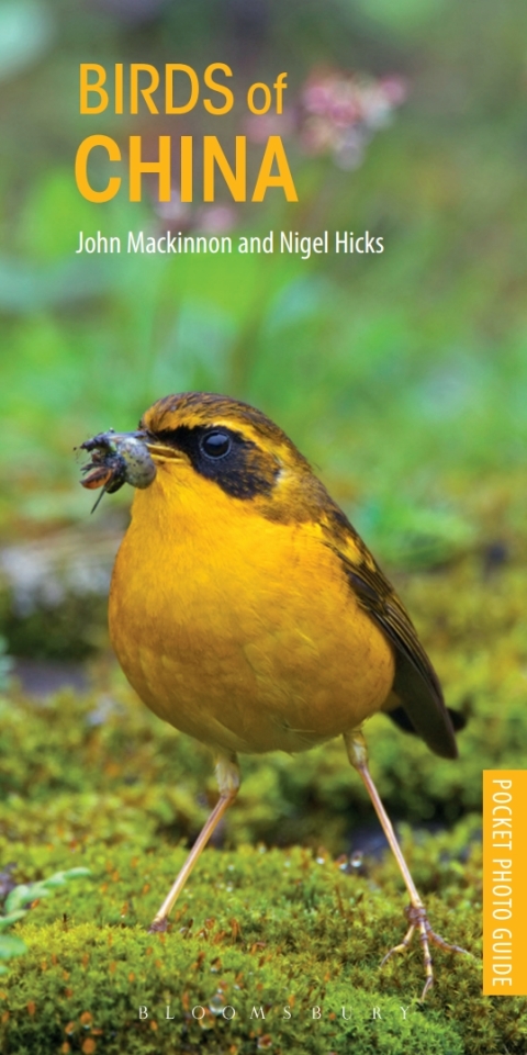 Birds of China 