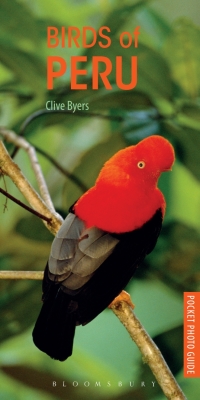 صورة الغلاف: Birds of Peru 1st edition 9781472932167
