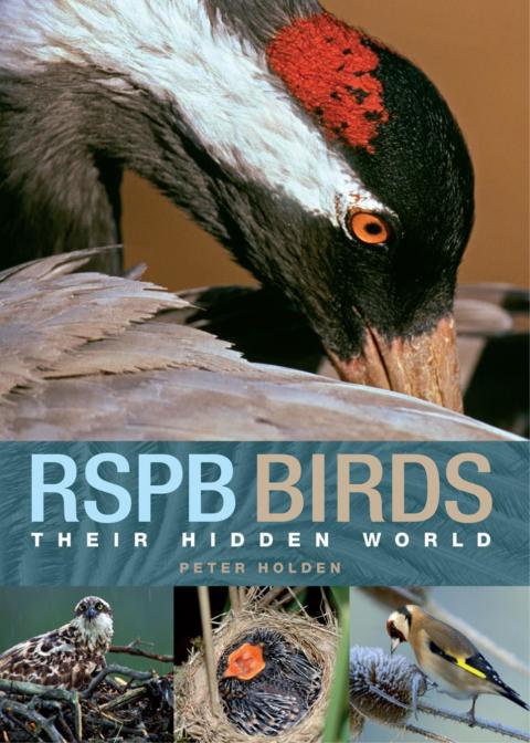 Cover image for book RSPB Birds: Their Hidden World