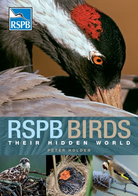 Cover image for book RSPB Birds: Their Hidden World