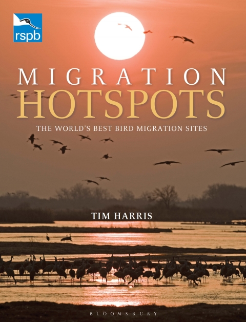 Cover image for book RSPB Migration Hotspots