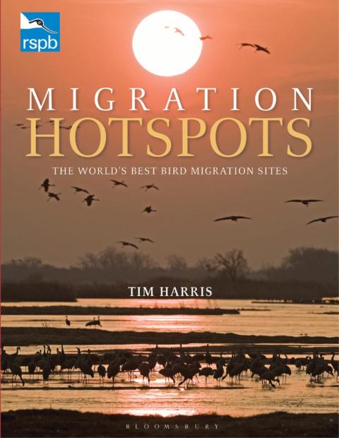 Cover image for book RSPB Migration Hotspots