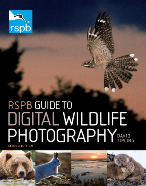 Cover image for book RSPB Guide to Digital Wildlife Photography