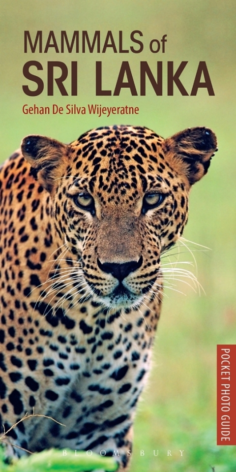 Mammals of Sri Lanka 