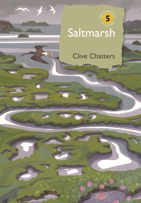 Cover image for book Saltmarsh
