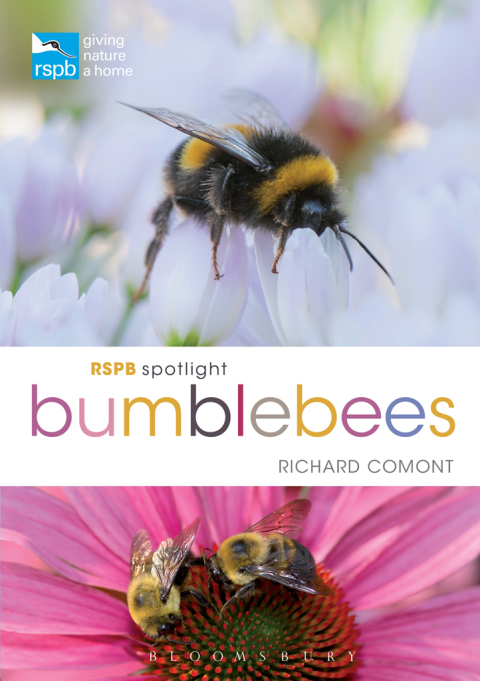 Cover image for book RSPB Spotlight Bumblebees