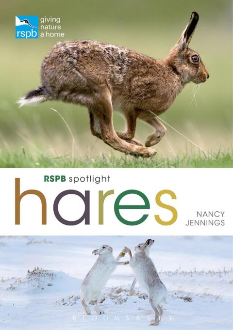 Cover image for book RSPB Spotlight Hares