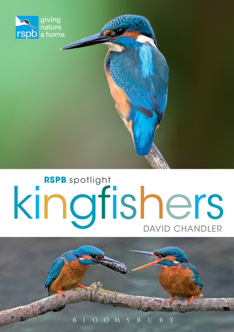 Cover image for book RSPB Spotlight Kingfishers