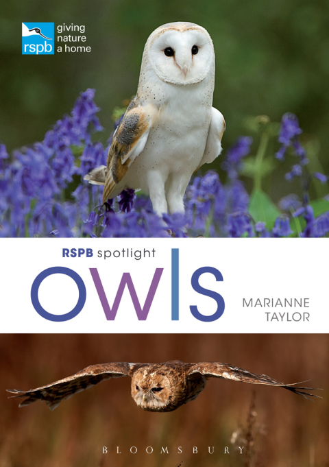 Cover image for book RSPB Spotlight Owls