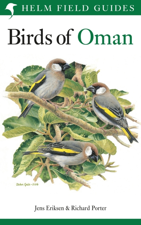 Birds of Oman 