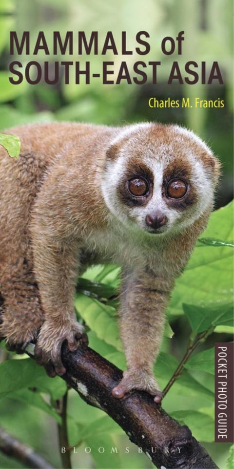 Cover image for book Mammals of South-east Asia