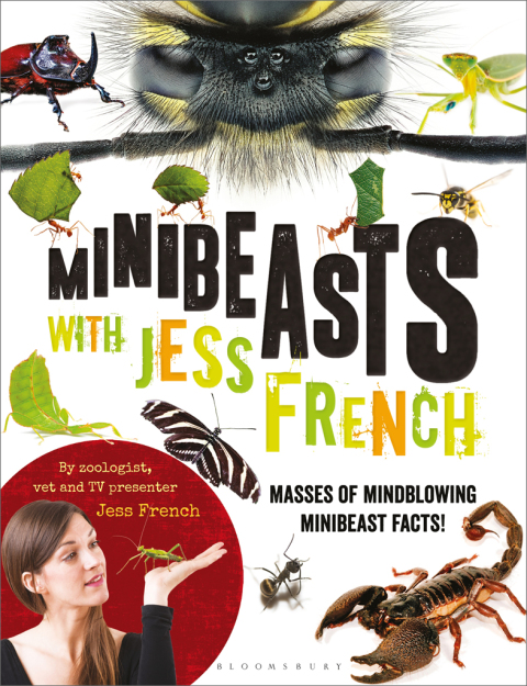 Cover image for book Minibeasts with Jess French