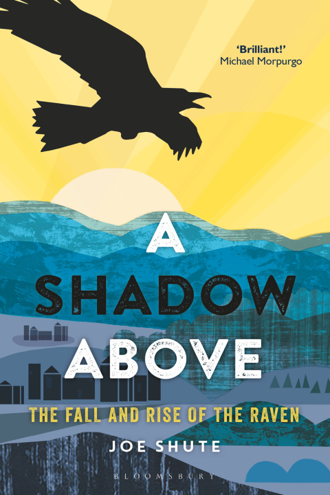 Cover image for book A Shadow Above