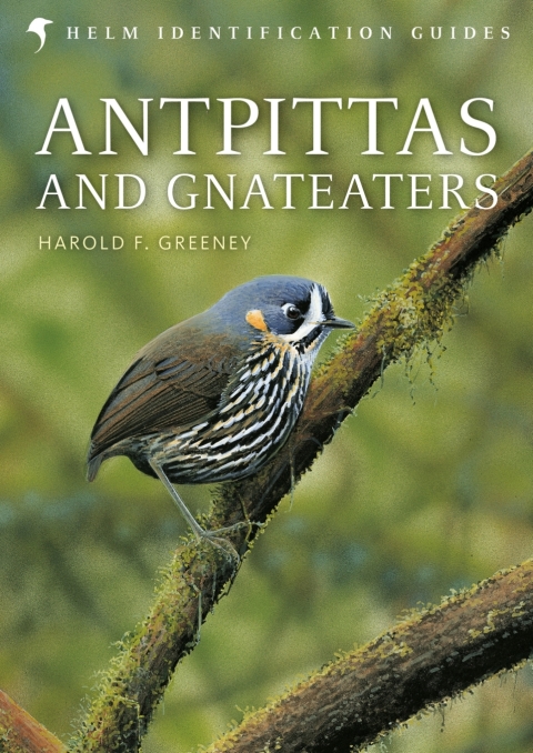 Cover image for book Antpittas and Gnateaters