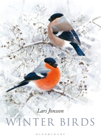 صورة الغلاف: Winter Birds 1st edition 9781472962010