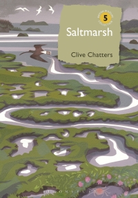 صورة الغلاف: Saltmarsh 1st edition 9781472933591