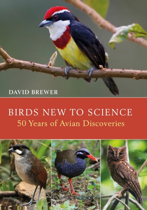 Birds New to Science 