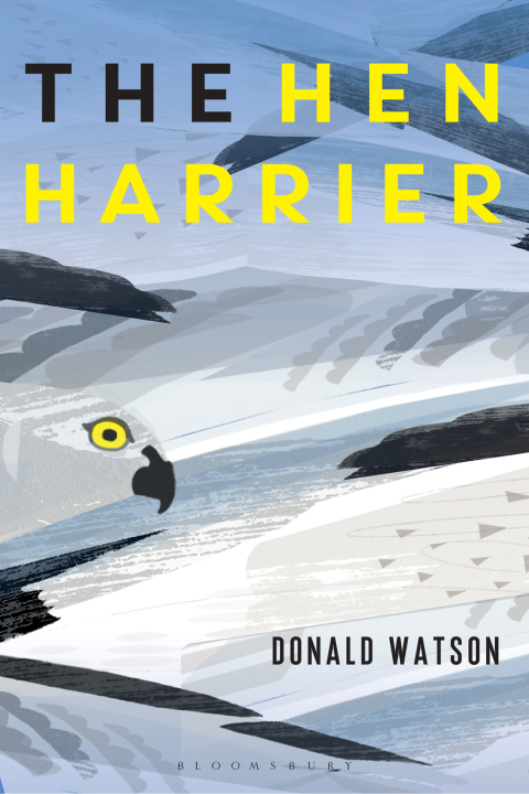 The Hen Harrier 