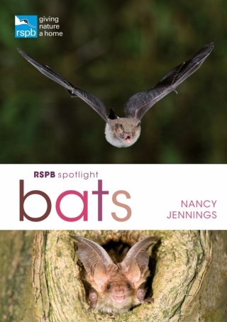 RSPB Spotlight Bats