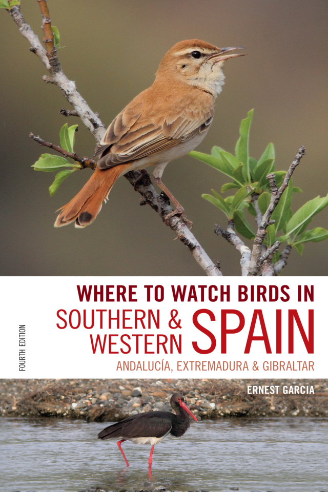 Where to Watch Birds in Southern and Western Spain