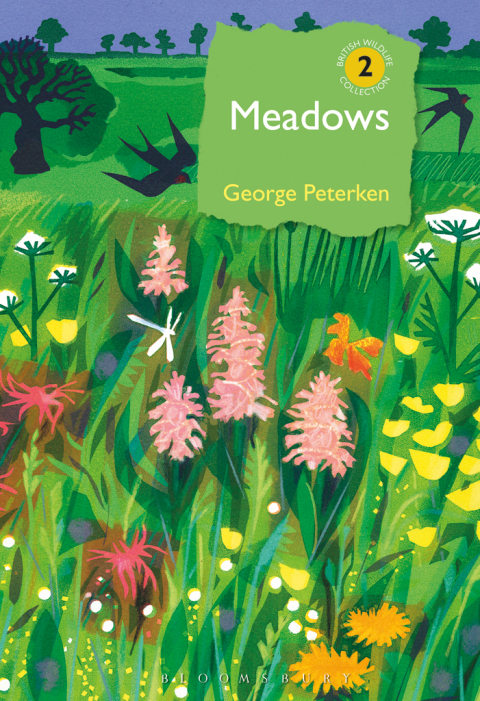 Cover image for book Meadows