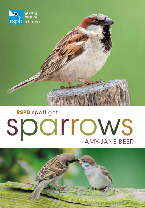 RSPB Spotlight Sparrows 