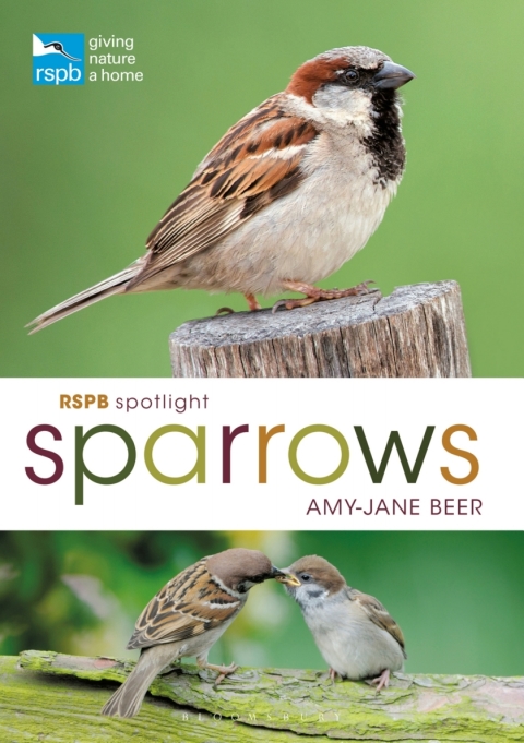 RSPB Spotlight Sparrows 