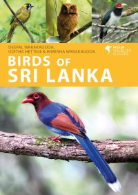 صورة الغلاف: Birds of Sri Lanka 1st edition 9781408110416