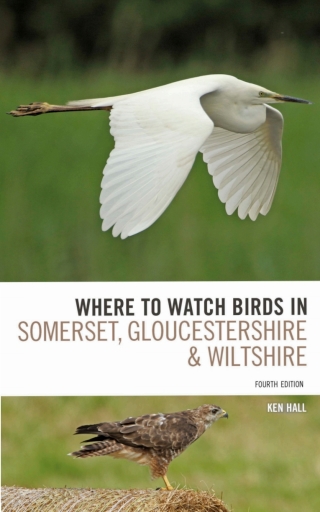 Where To Watch Birds in Somerset, Gloucestershire and Wiltshire