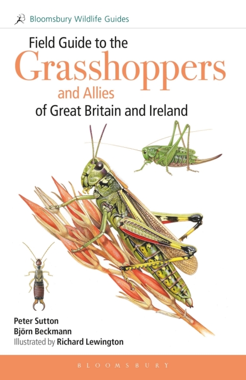 Cover image for book Field Guide to the Grasshoppers and Allies of Great Britain and Ireland