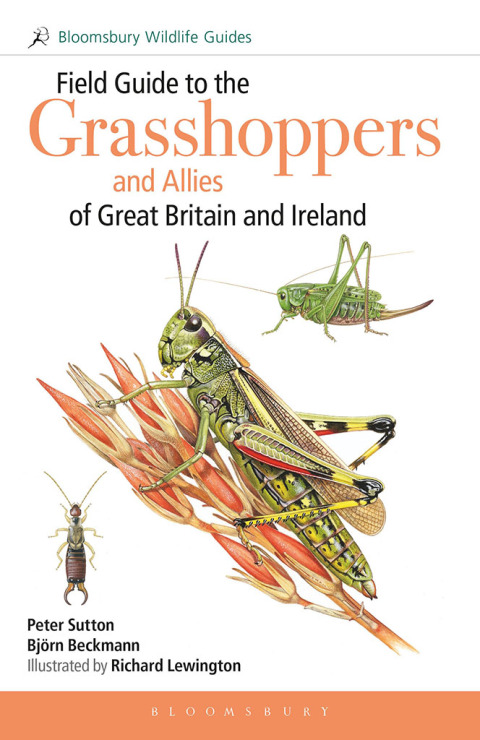 Cover image for book Field Guide to the Grasshoppers and Allies of Great Britain and Ireland