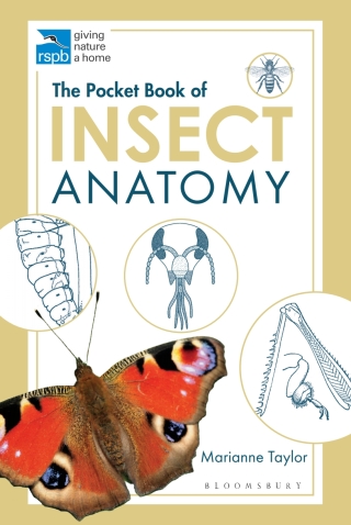 The Pocket Book of Insect Anatomy
