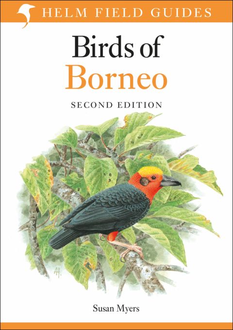 Field Guide to the Birds of Borneo 
