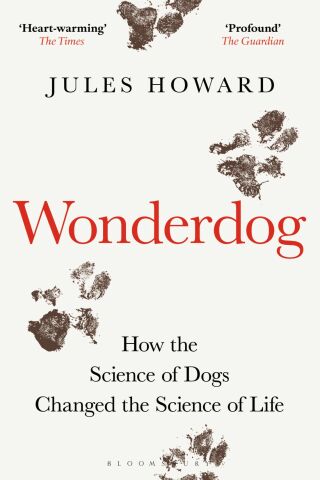 WONDERDOG