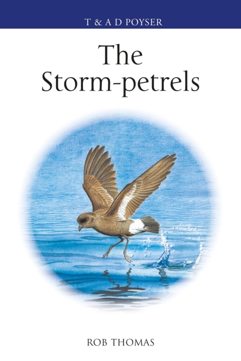 The Storm-petrels 