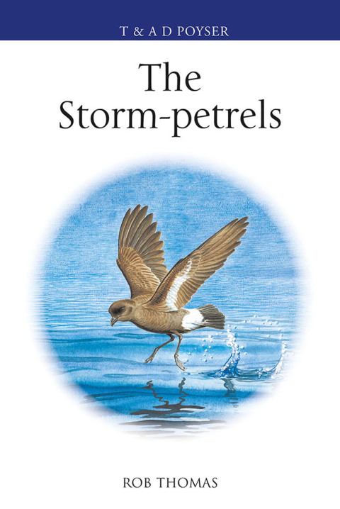 The Storm-petrels 
