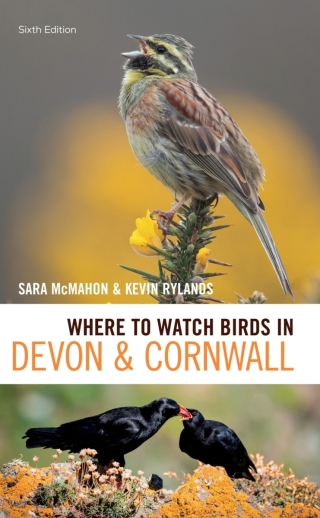 Where to Watch Birds in Devon and Cornwall