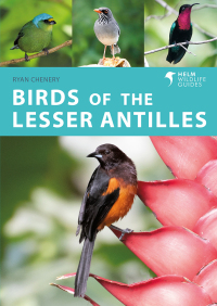 Titelbild: Birds of the Lesser Antilles 1st edition 9781472989611