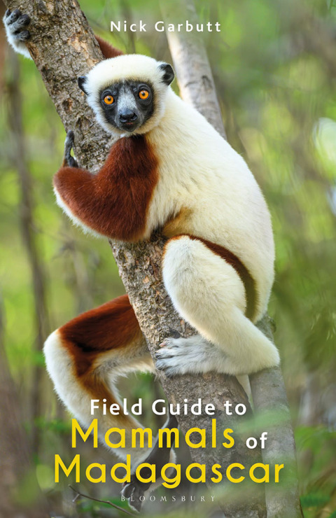 Field Guide to Mammals of Madagascar 