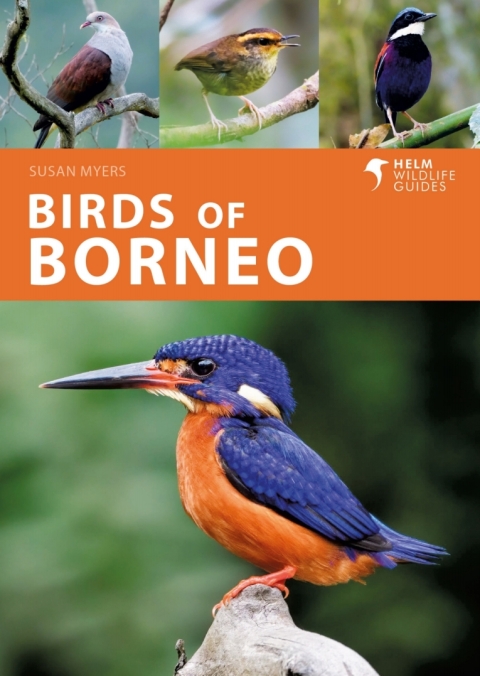 Birds of Borneo 