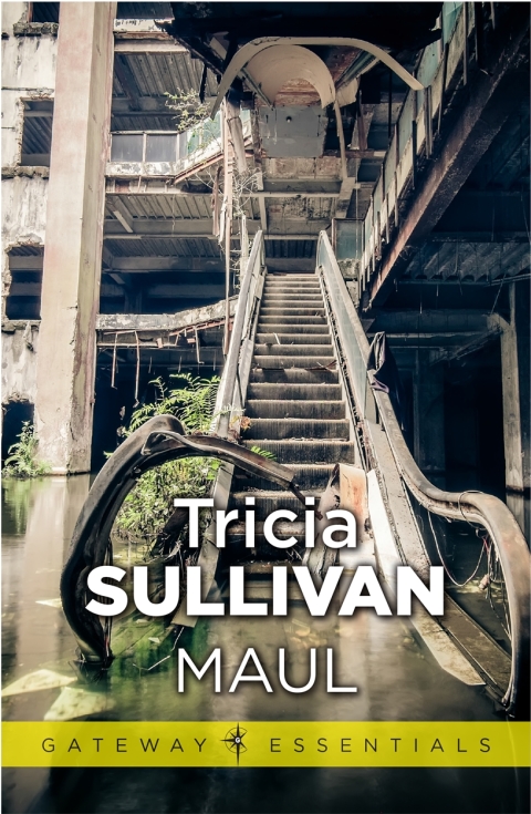 Cover image for book Maul