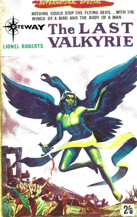 Cover image for book The Last Valkyrie